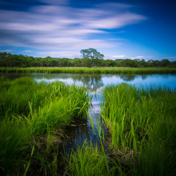 Honeyview_image009.jpg Honeyview_image009.jpg