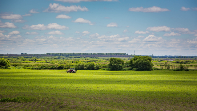 Honeyview_image005.jpg Honeyview_image005.jpg