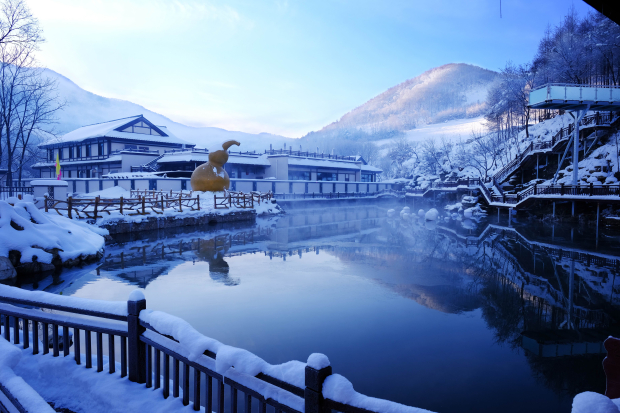 image005 (2).jpg image005 (2).jpg