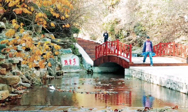 image003.jpg image003.jpg